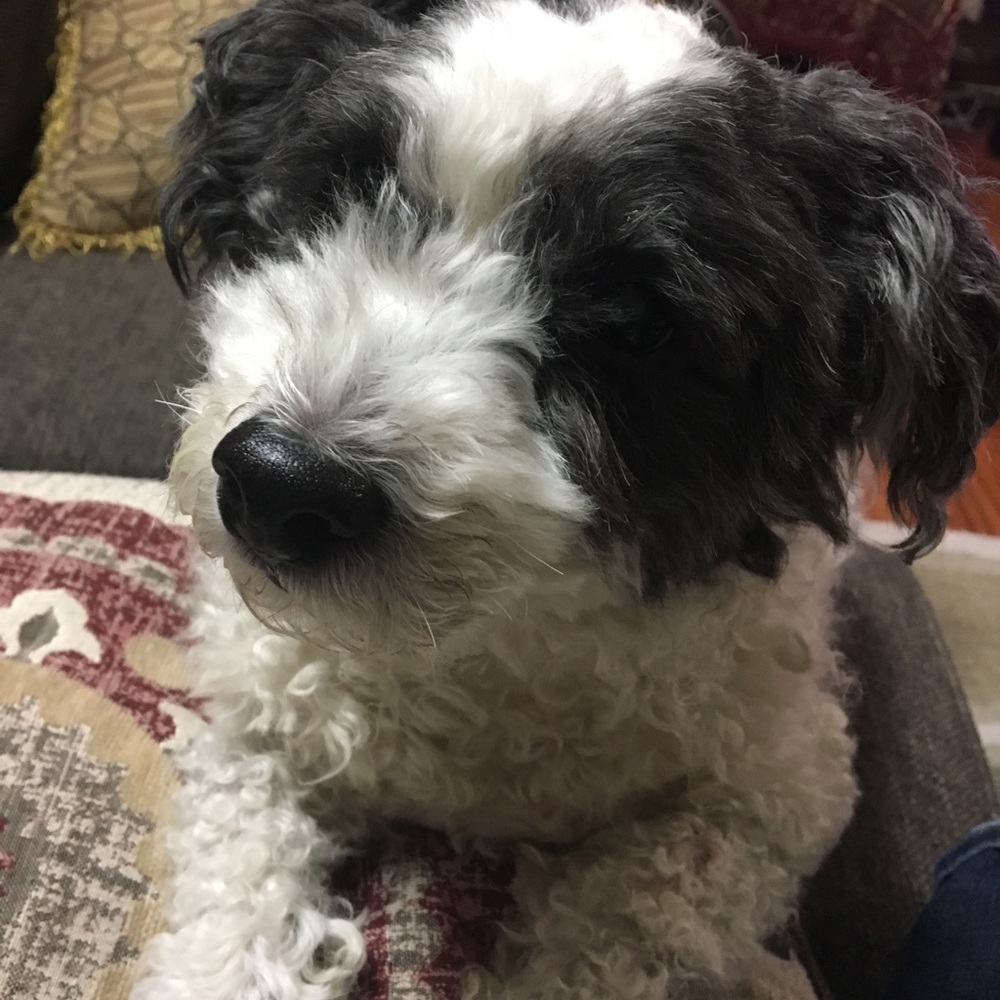 Meet your Posher, Archana